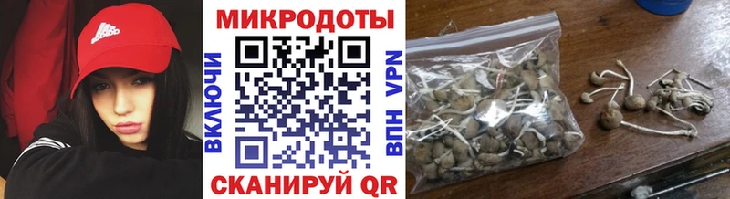 МЕГА онион  Реутов  Галлюциногенные грибы Magic Shrooms 